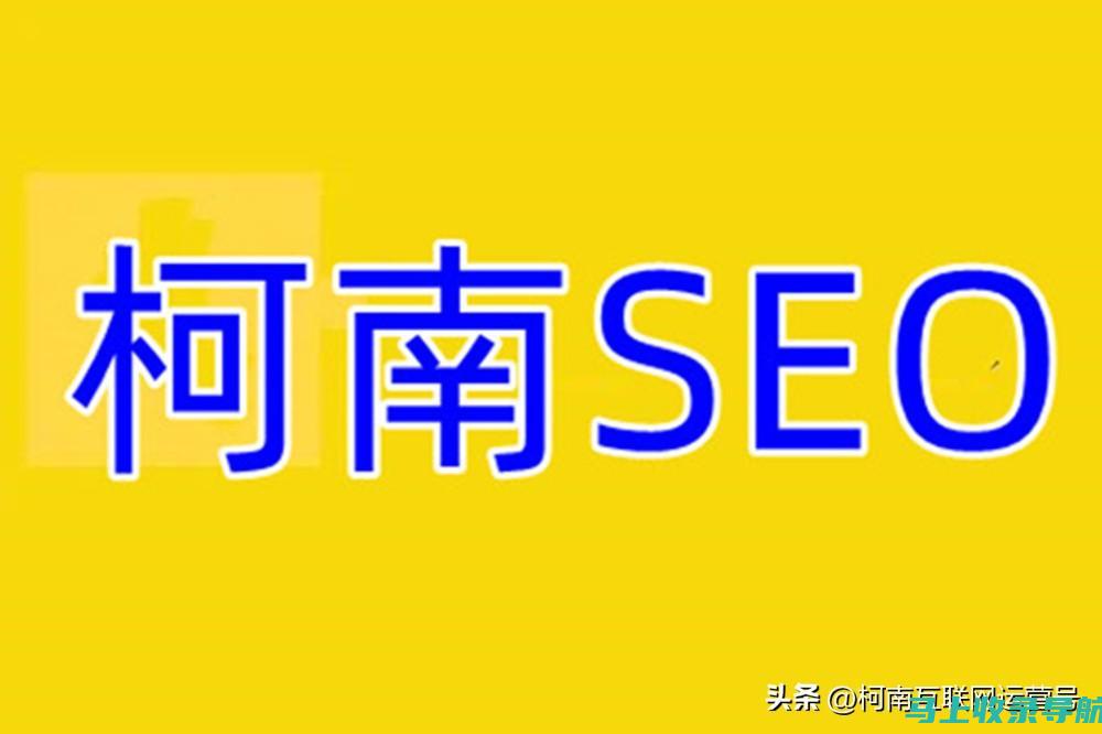 揭秘SEO排名优化的成本秘密，打造高效的网络营销战略。